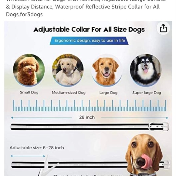 Dog remote trainer - Picture 7 of 9